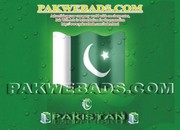Advertising your company world wide on cheap rates. Pak web ads is bes