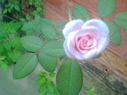 Data Entry Jobs for House Wives / Students