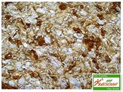 YISENNI Artistic Coating is the best decoration for your walls