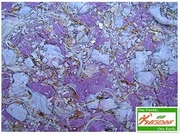 Interior materials with unique style—YISENNI Wall Coating