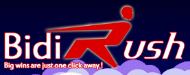 online auction bidding