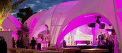 Temporary Branding