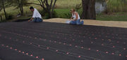 Plastic Cap Roofing Nails - Small Body,  Big Use