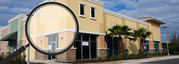 Looking for Affordable Pest Inspection Services In Brisbane