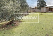 Lawn Care and Grass Cutting Services in Sydney