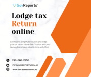 Lodge tax return online with GovReports