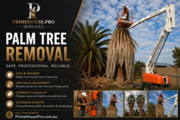 Tree Cutting Service Adelaide