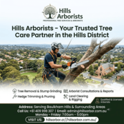 Professional Arborist Services in Baulkham Hills